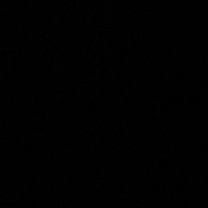 Meet your Posher, Lizzette